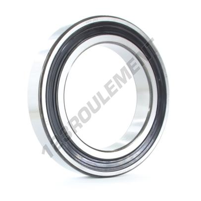 6019-2RS1-SKF