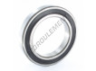 6020-2RS-C3-SKF