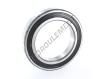 6021-2RS1-SKF