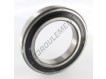 6022-2RS-SKF