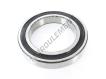 6028-2RS1-SKF