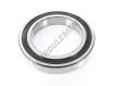 6028-2RS1-SKF