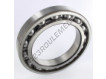 6030-SKF