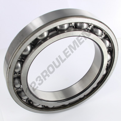 6030-SKF
