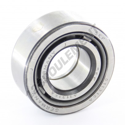 611316-SKF