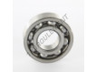 613742C-C3-SKF