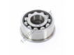 617074-SKF
