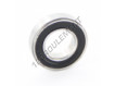 61800-2RS1-SKF