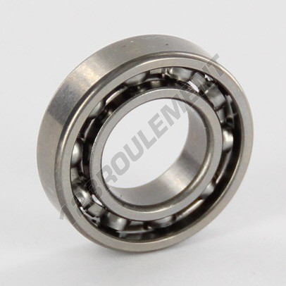 61800-SKF