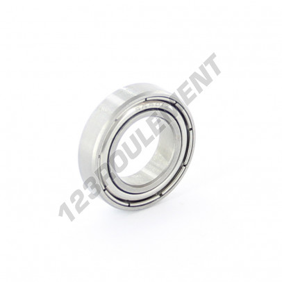 61801-ZZ-INOX