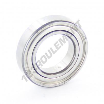 61801-ZZ-SKF