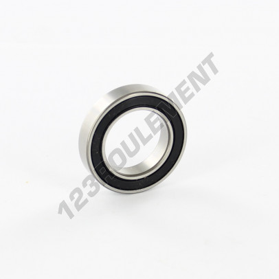 61804-2RS-EZO