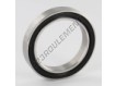 61806-2RS-INOX