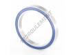 61813-2RS-INOX
