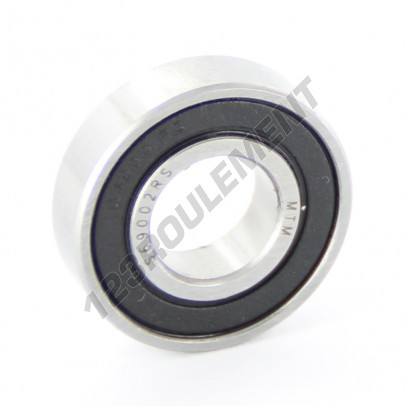 6900-2RS-INOX