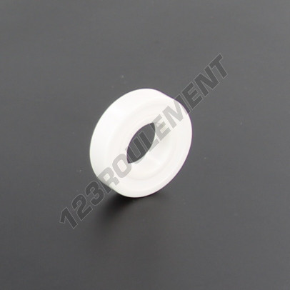 61901-2RS-ZIO2-CERA