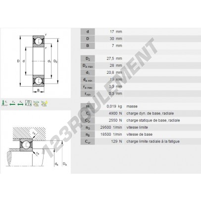 61903-ZZ-INA