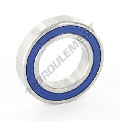 61905-2RS-INOX