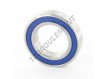 61905-2RS-INOX