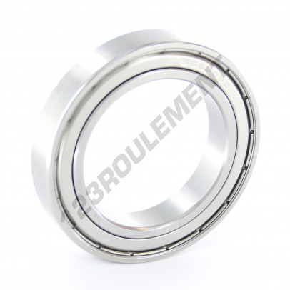 61909-ZZ-INOX
