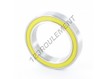 61910-2RS-INOX