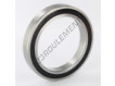 61918-2RS-INOX