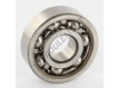 6201-SKF