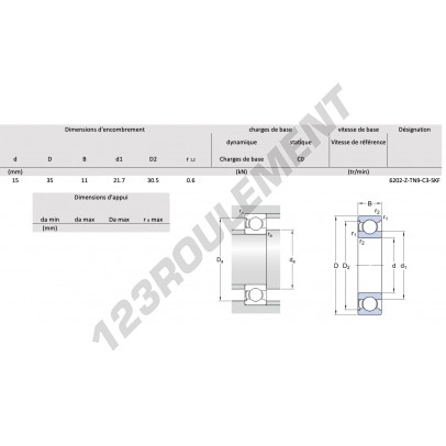 6202-Z-TN9-C3-SKF