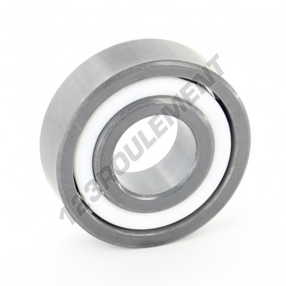 6203-CE-SI3N4-PTFE-ZEN