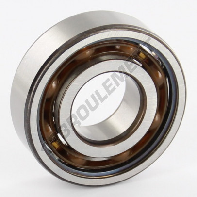 6204-TN9-C3-SKF