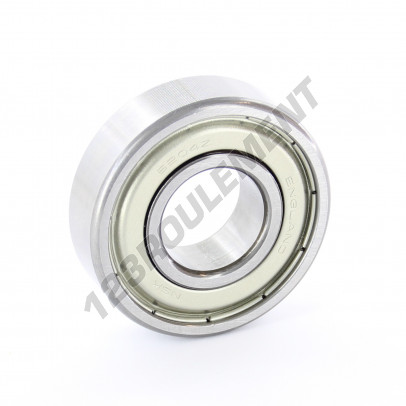 6204-ZZ-CM-NSK