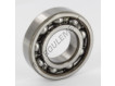 6206-C3-SKF