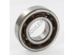 6206-TN9-C3-SKF