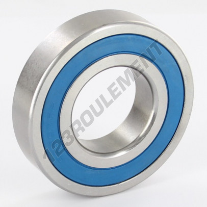 6207-2RS-INOX