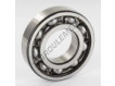 6207-C3-SKF