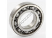 6208-SKF