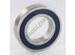 6210-2RS-INOX