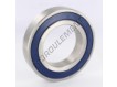 6215-2RS-INOX