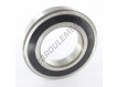 6218-2RS1-SKF