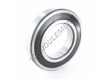 6219-2RS-SKF