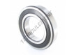 6219-2RS-SKF