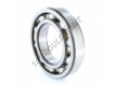 6219-SKF
