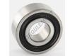 62202-2RS1-SKF