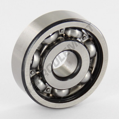 6300-SKF