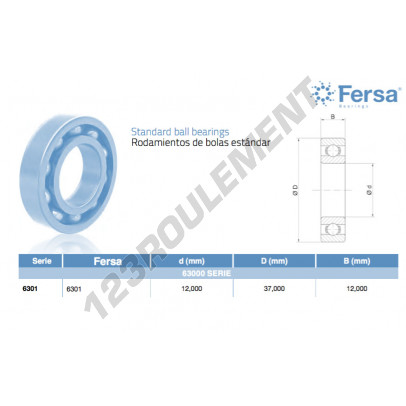 6301-ASFERSA