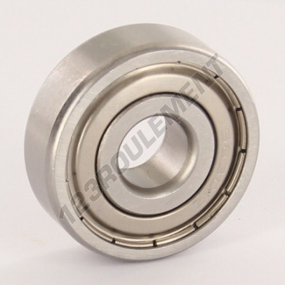 6301-ZZ-INOX