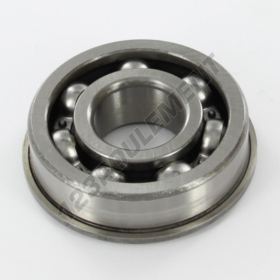 630186-SKF