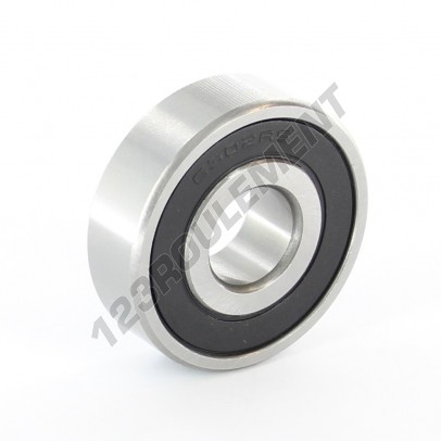 6302-2RS-ZEN