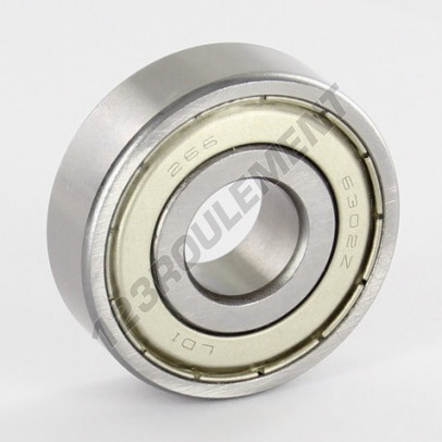 6302-ZZ