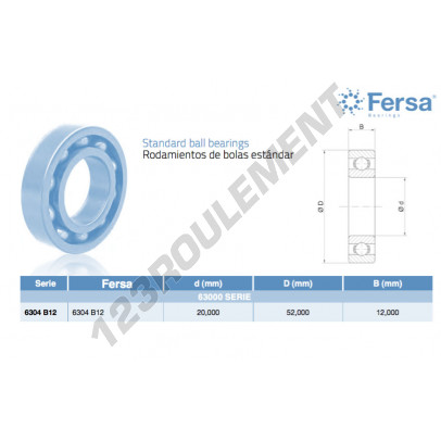 6304-B12-ASFERSA
